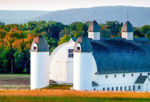Fine Art Print - "D.H. Day Farm"
