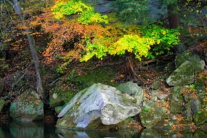 Fine Art Print - "Rock and Fall Colors"