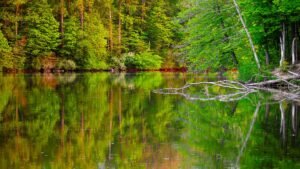 Fine Art Print - "Worster Lake in Spring 2"