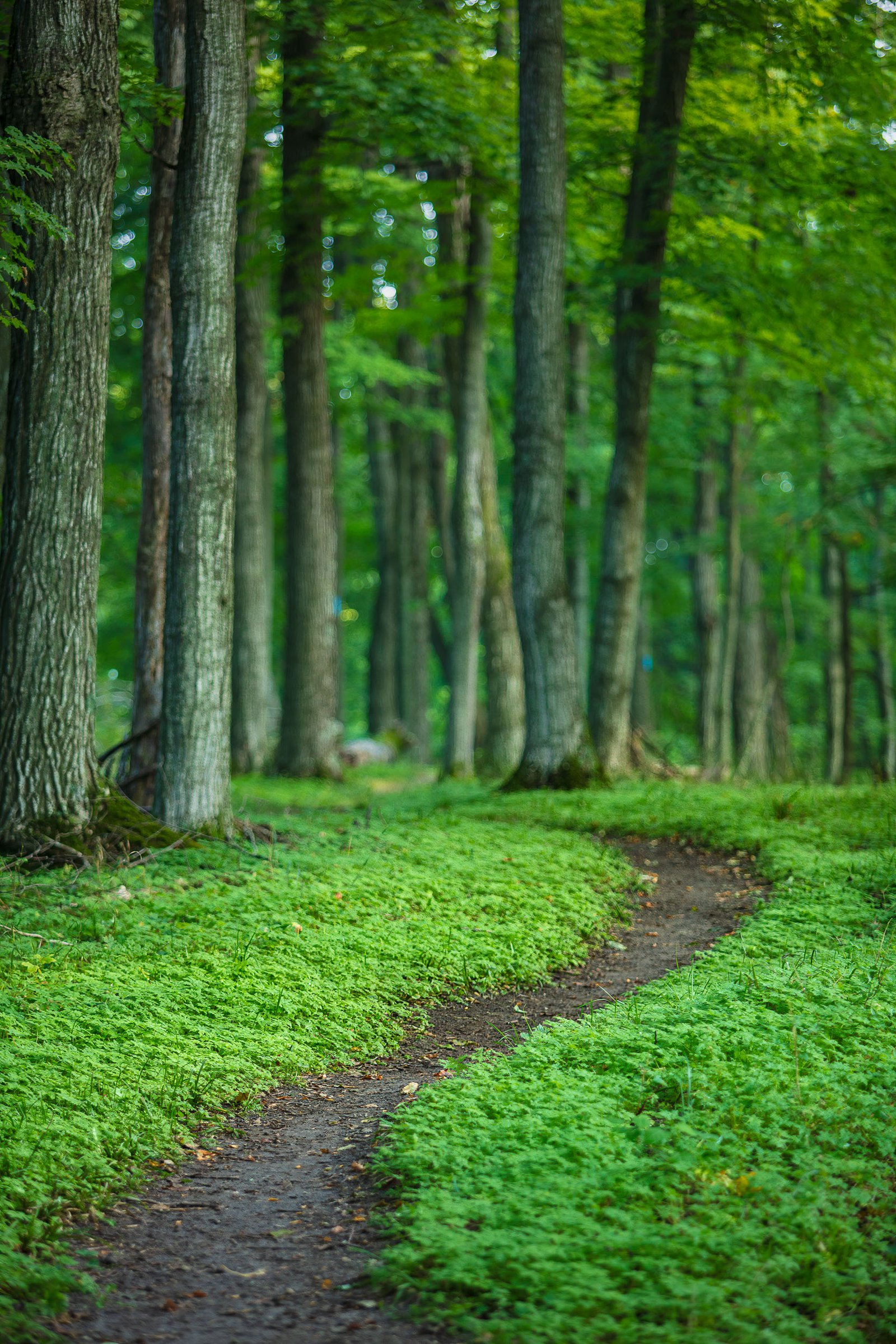 Click to  View Nature