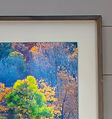 Signature Frame