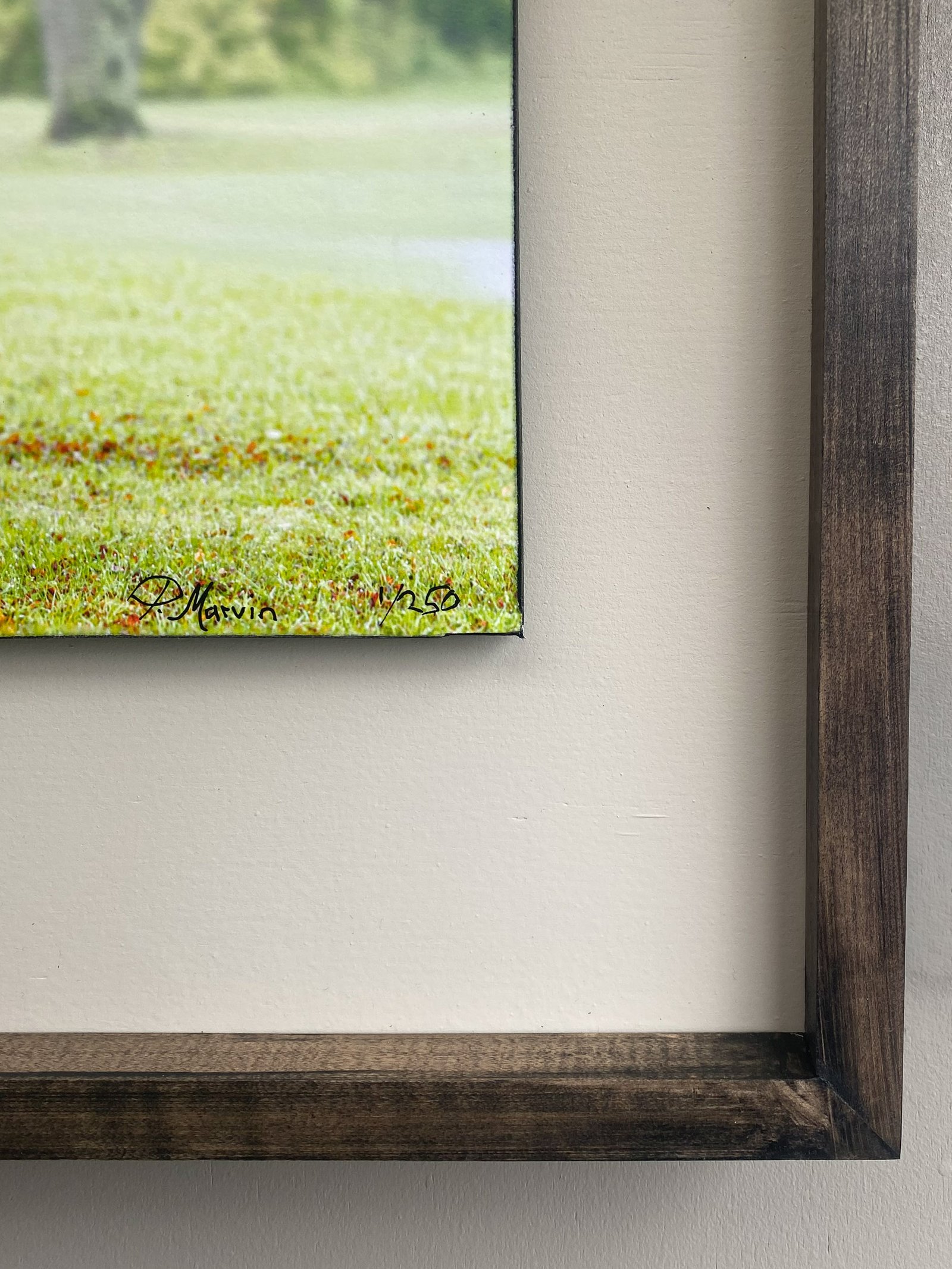 Signature Frame